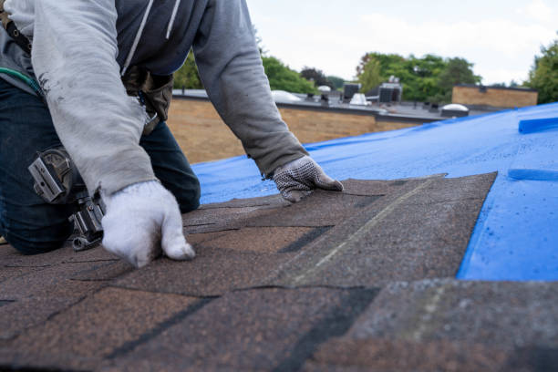 Best Roof Gutter Cleaning  in Falmouth, VA