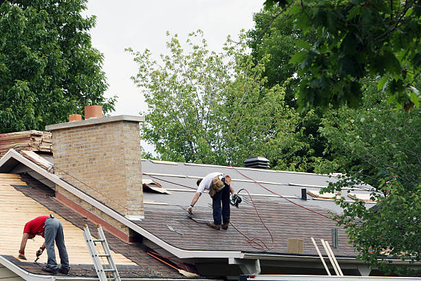 Best Storm Damage Roof Repair  in Falmouth, VA