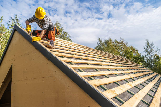 Best Roof Gutter Cleaning  in Falmouth, VA